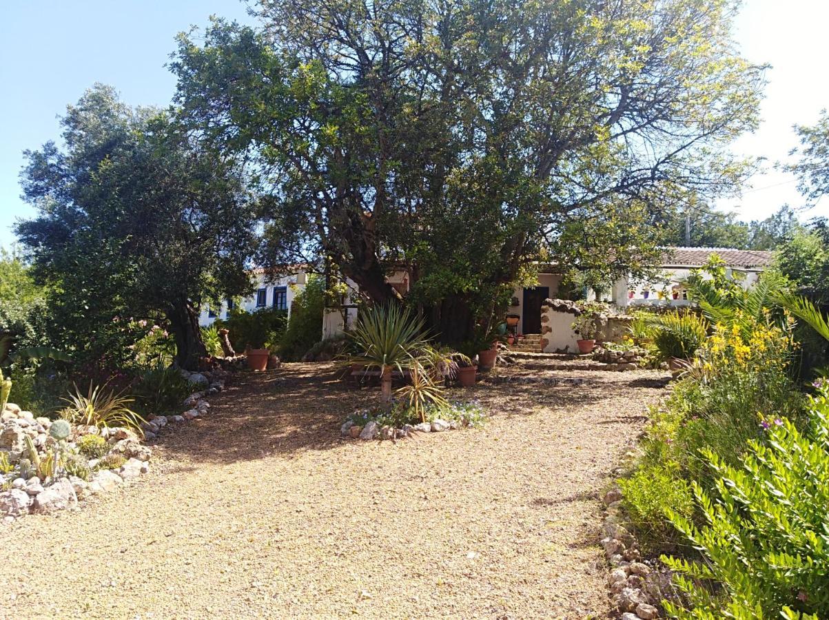 Quinta Dos Valados Bed and Breakfast Querenca Esterno foto